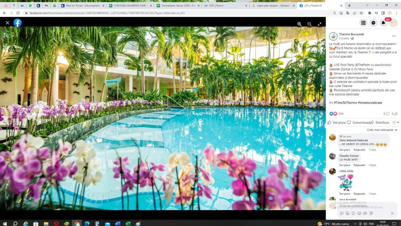 Bliss Inn Tunari Voluntari Eksteriør bilde